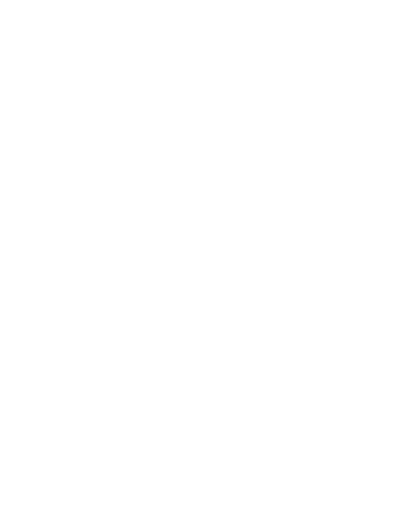 asset 2