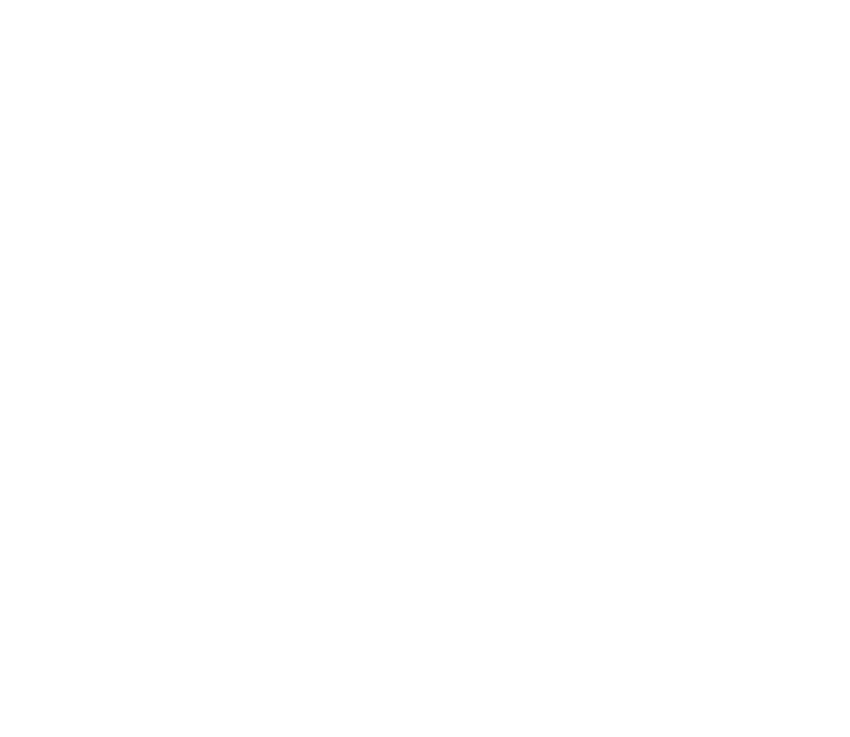 asset 4
